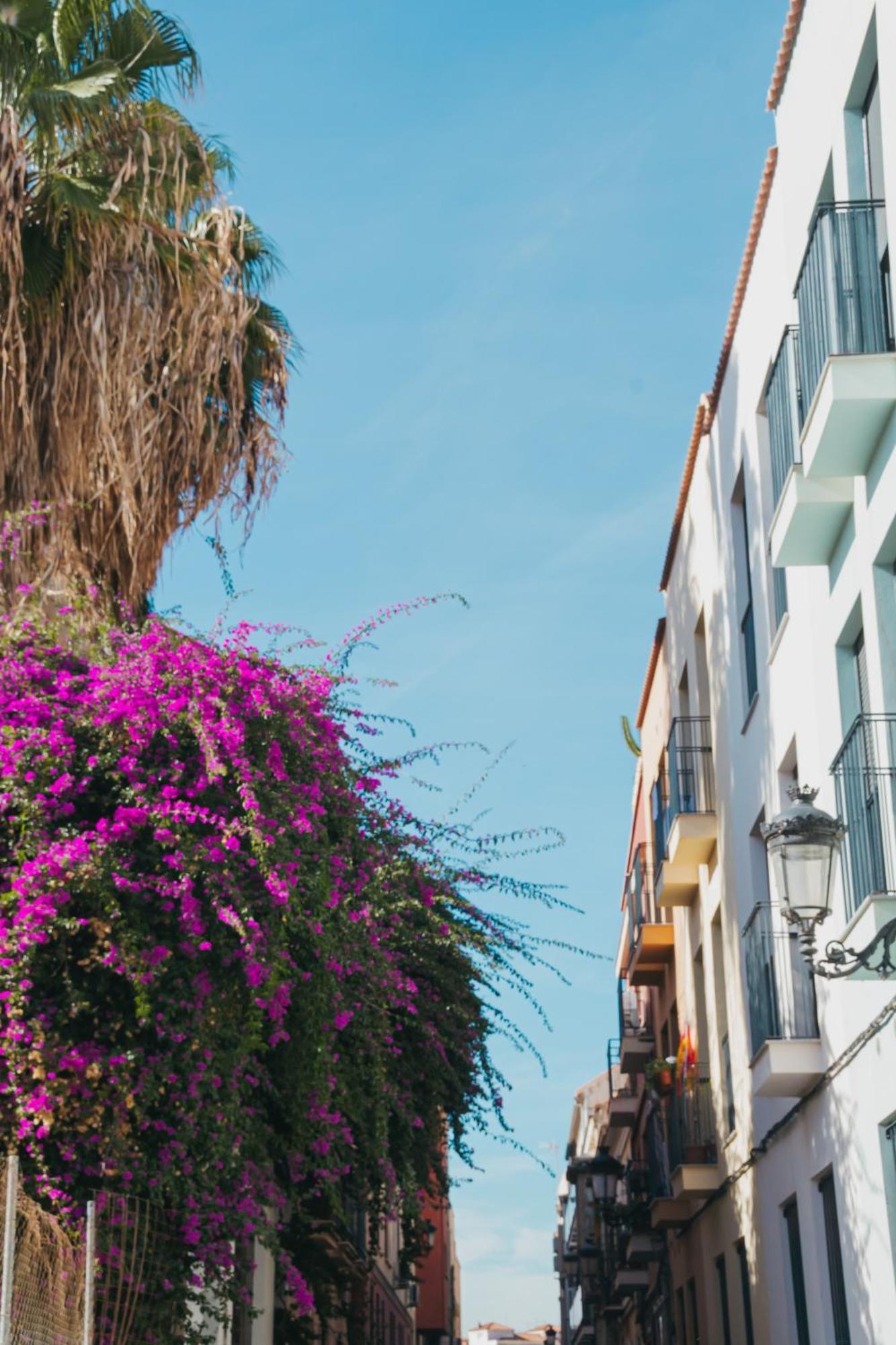 Picasso Premium Apartment Malaga Luaran gambar