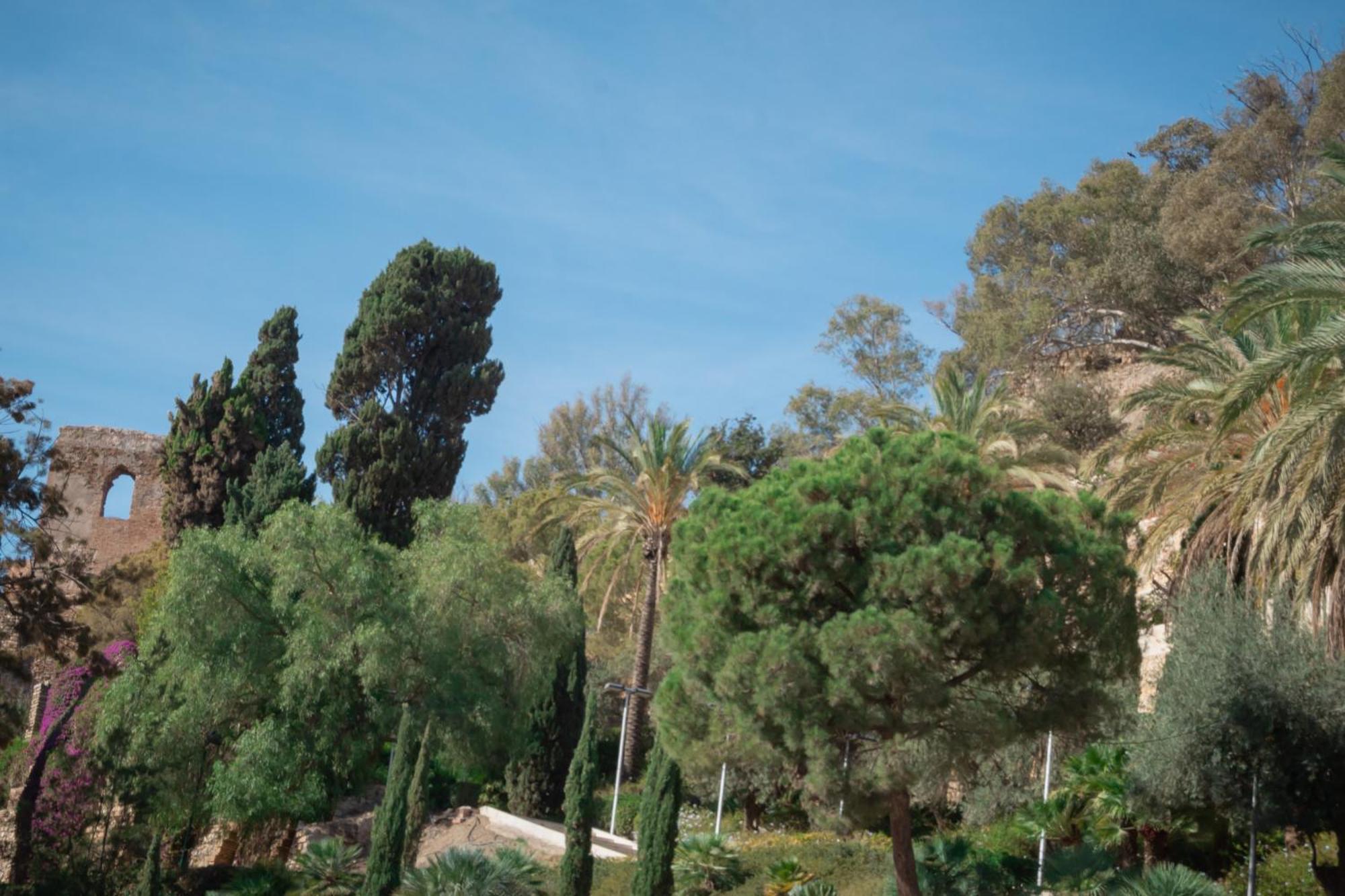 Picasso Premium Apartment Malaga Luaran gambar
