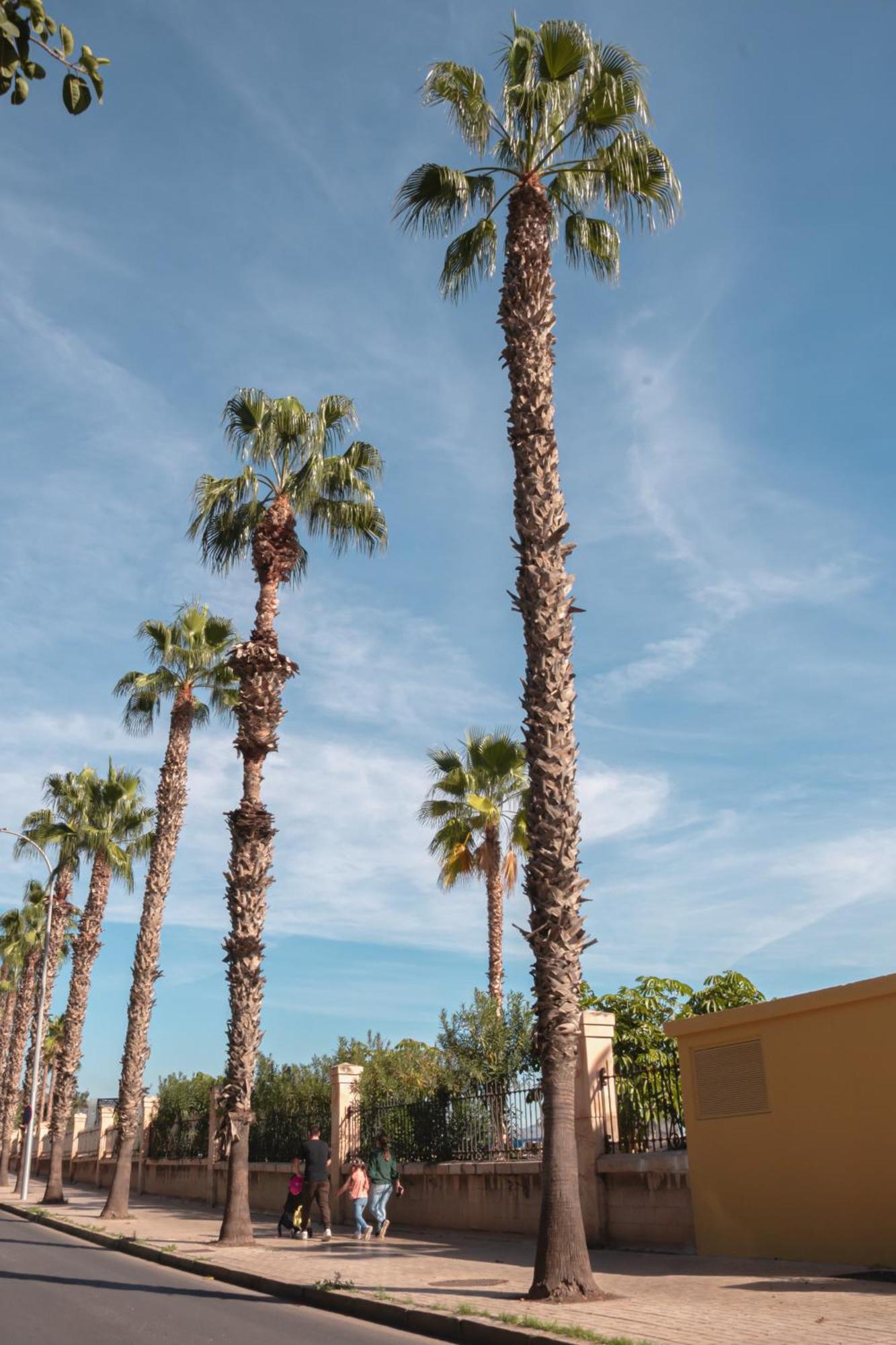 Picasso Premium Apartment Malaga Luaran gambar